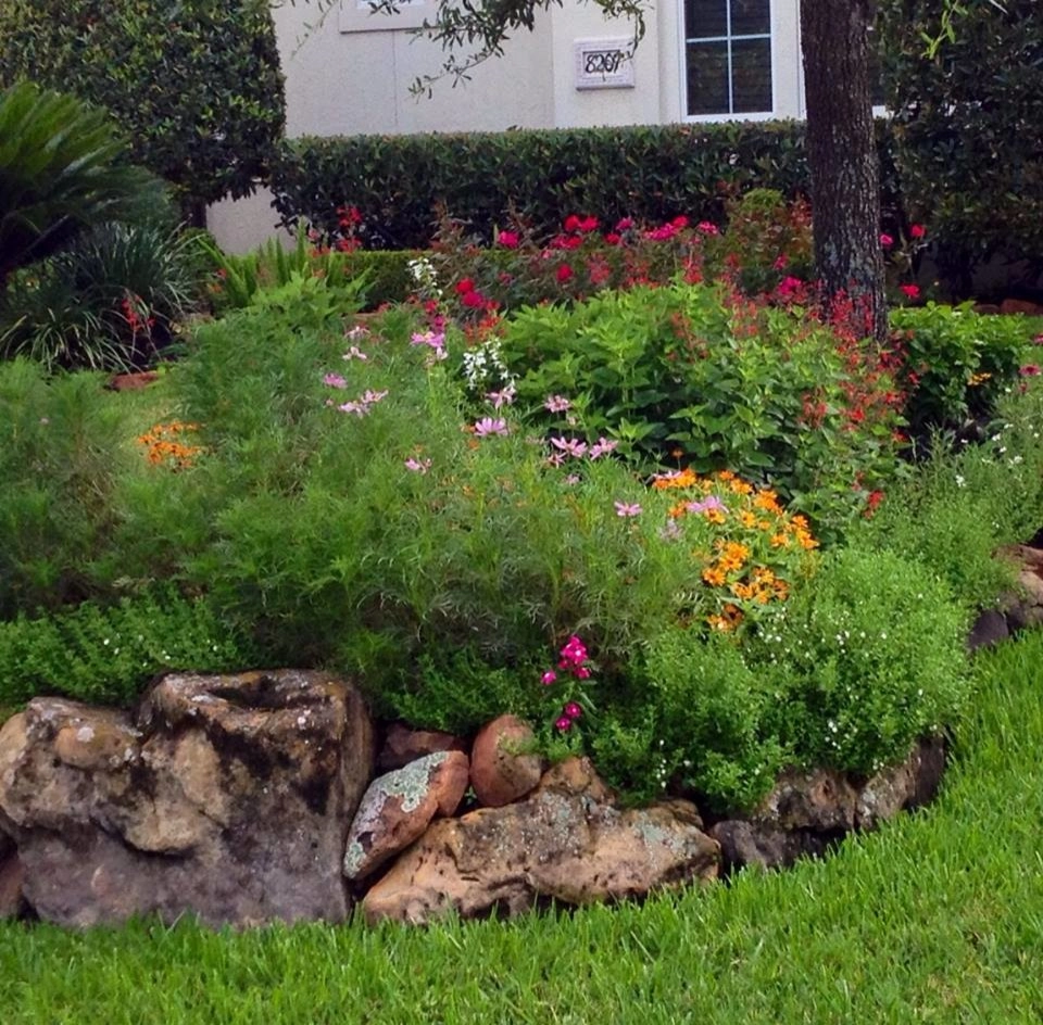 Scapes Environmental Design - Photo 9