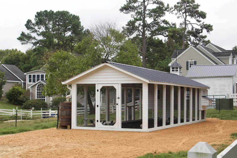 Personalized Chicken Houses by Carolina Coops - Photo 4