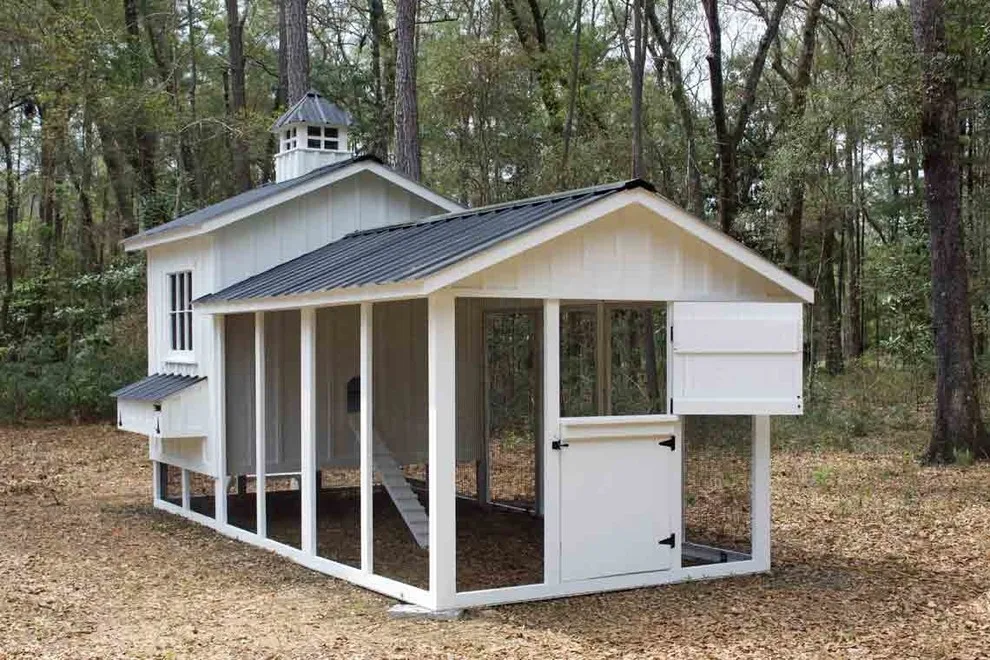 Personalized Chicken Houses by Carolina Coops - Photo 5