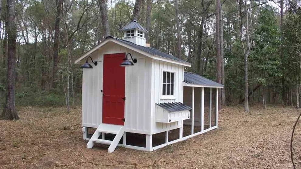 Personalized Chicken Houses by Carolina Coops - Photo 8