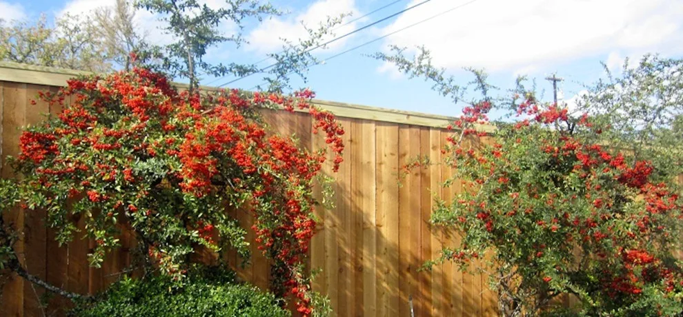 Tailored Fence Designs by Georgetown Fence & Deck - Photo 3