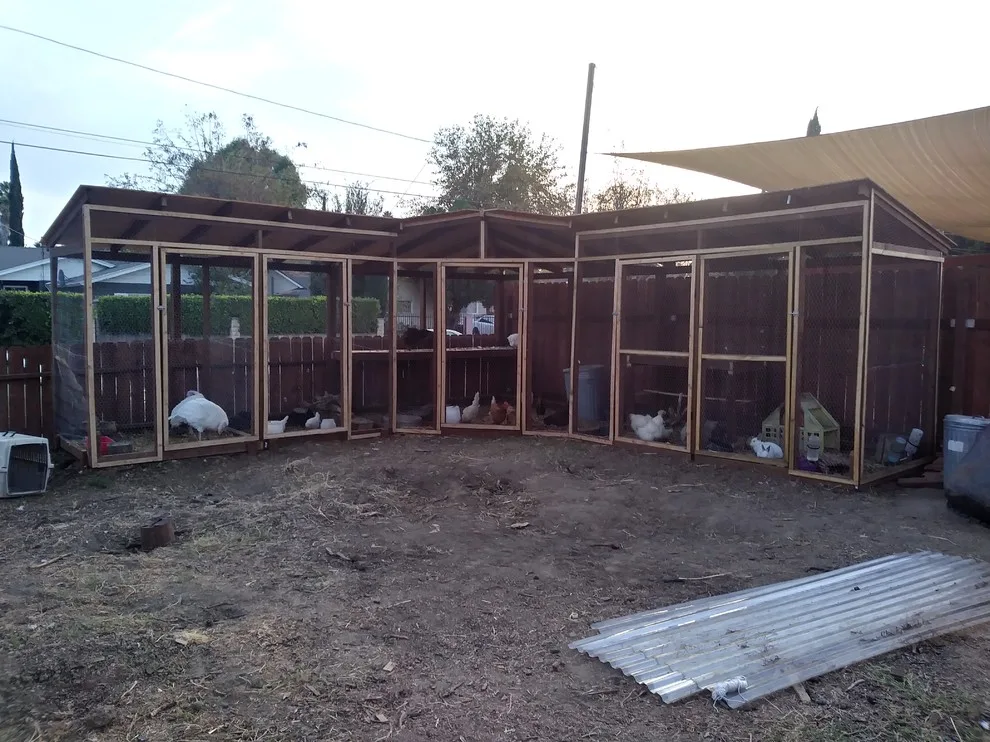 Tailored Outdoor Initiatives by Turtle Woodworks - Photo 25