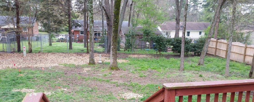 Charlotte Sod Installation by SecureTurf - Charlotte Landscaping Experts - Photo 2