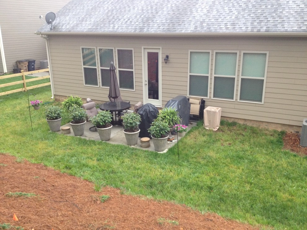 Charlotte Landscaping-Backyard Makeover by SecureTurf - Charlotte Landscaping Experts - Photo 5