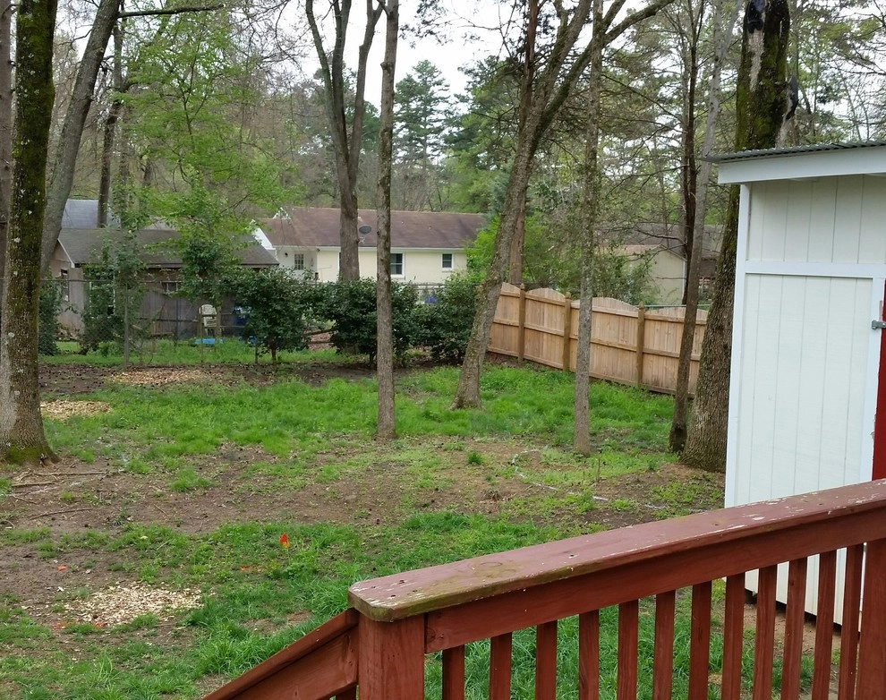 Charlotte Sod Installation by SecureTurf - Charlotte Landscaping Experts - Photo 3