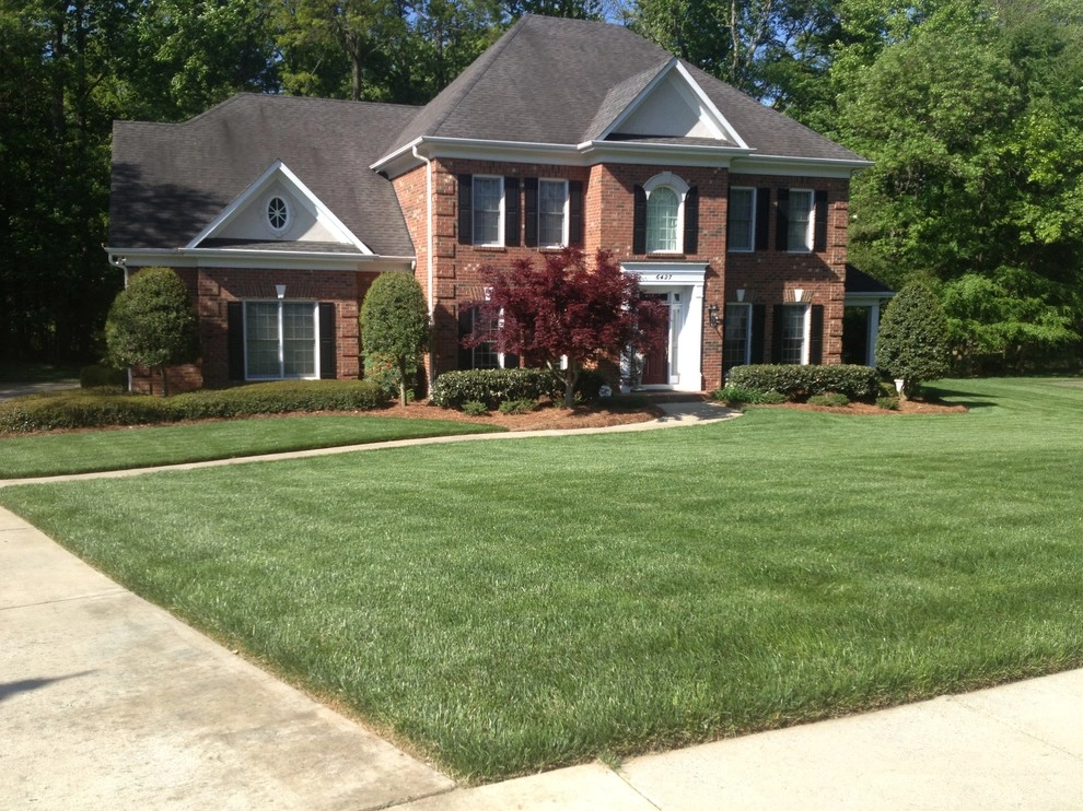 Charlotte Lawn Care and Landscape Projects by SecureTurf - Charlotte Landscaping Experts - Photo 7