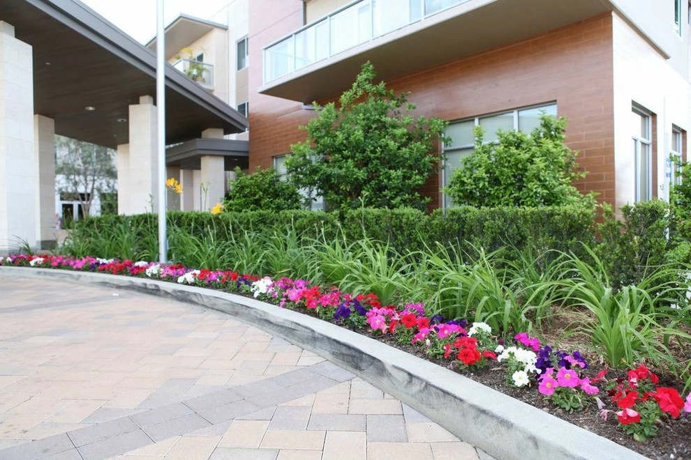Costa Mesa Maintenance by Seed Landcare - Photo 4