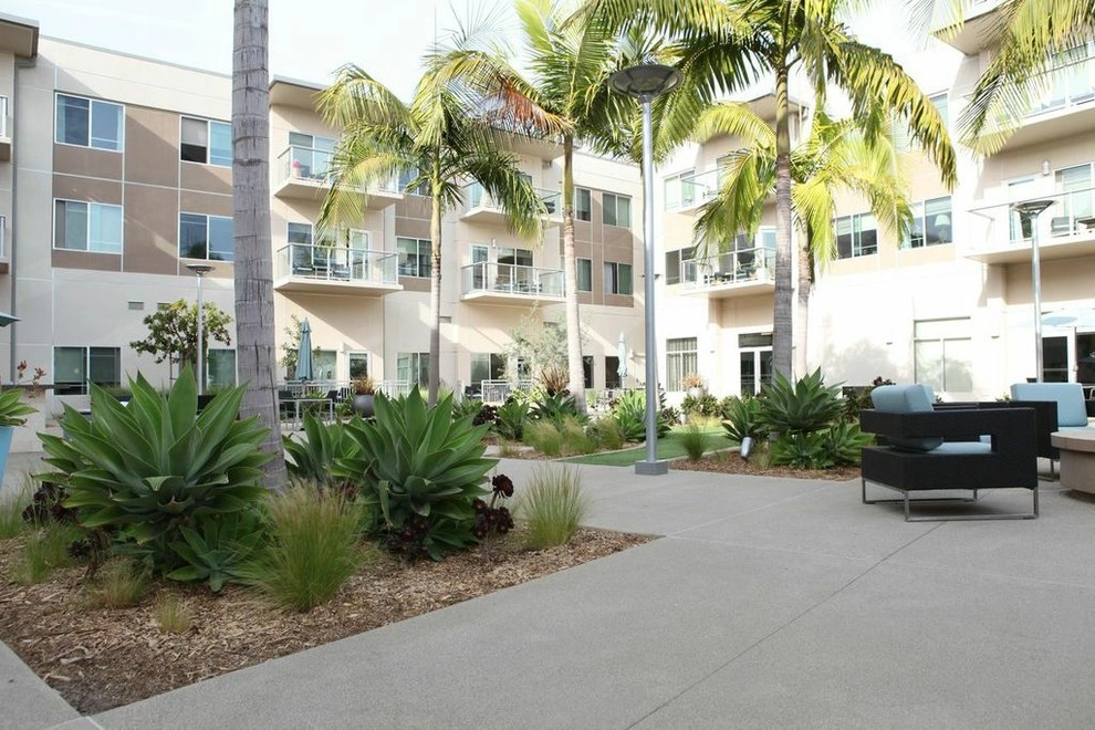 Costa Mesa Maintenance by Seed Landcare - Photo 8
