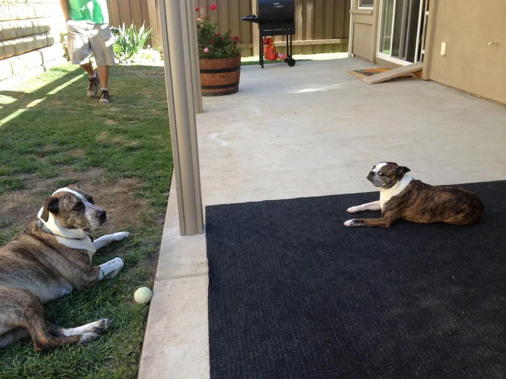 Danny and Pam's Project by The Patio Cover Deck And Fence Co. - Photo 8