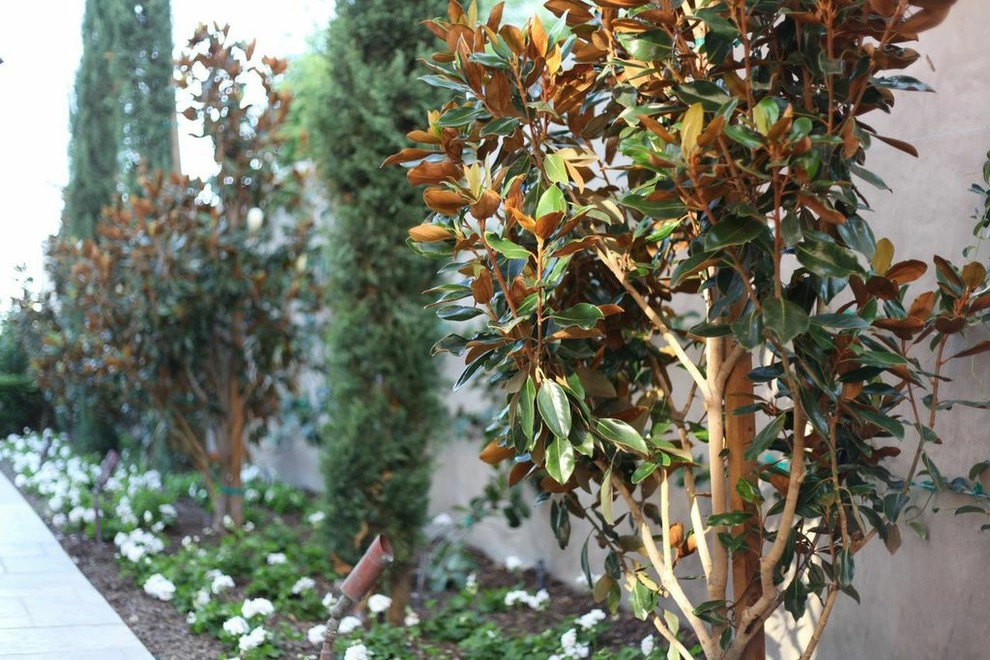 Seed Landcare - Photo 3