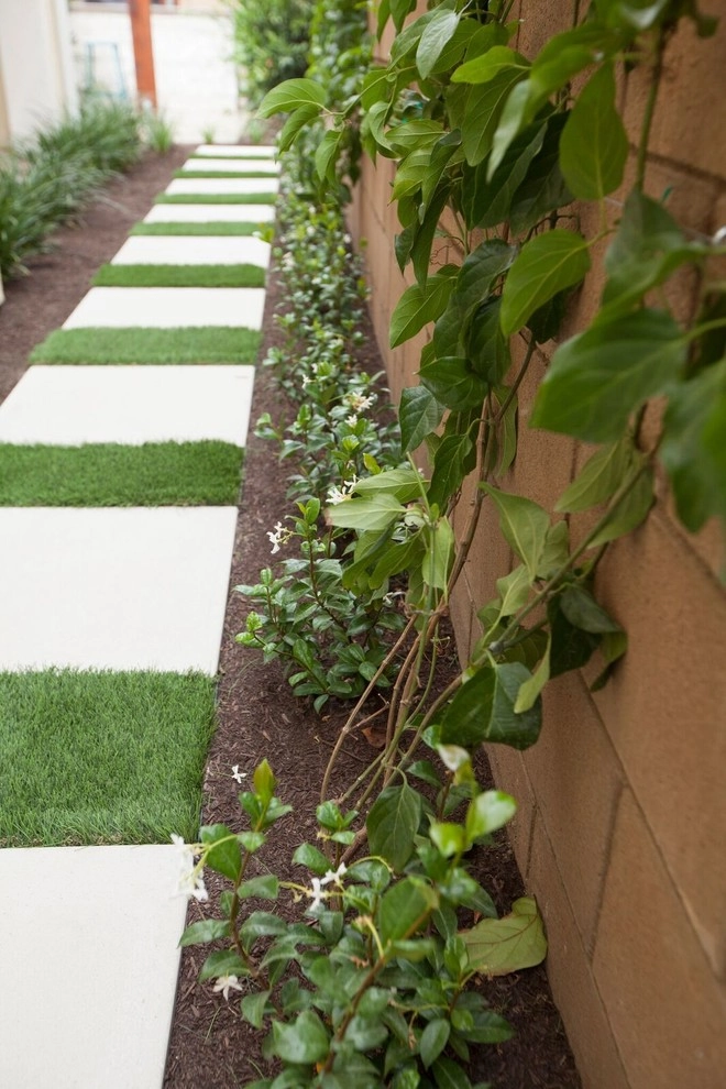 Huntington Beach Residence by Seed Landcare - Photo 22