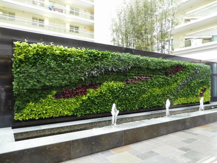 Green Walls by Seed Landcare - Photo 6