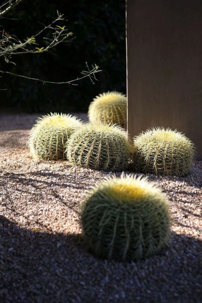 Hidden Trail by Seed Landcare - Photo 3