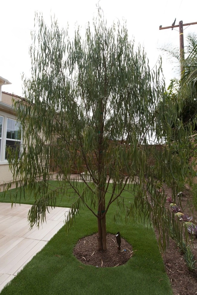 Huntington Beach Residence by Seed Landcare - Photo 23