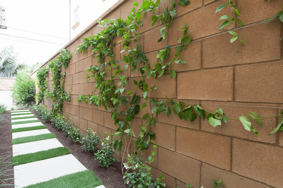Huntington Beach Residence by Seed Landcare - Photo 7