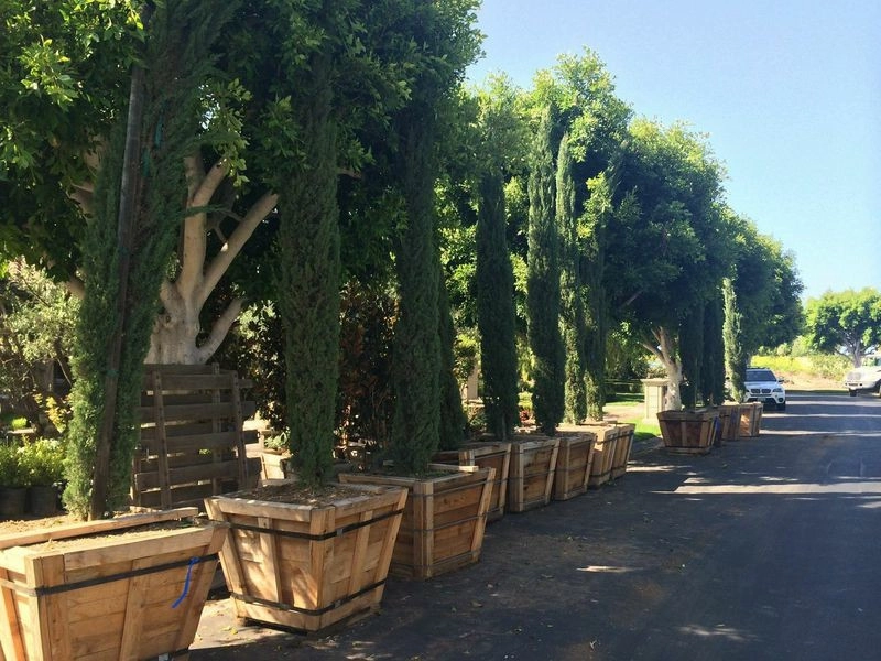 Landscape Construction by Seed Landcare - Photo 2