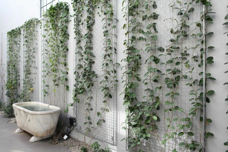 Beverly Hills by Seed Landcare - Photo 3