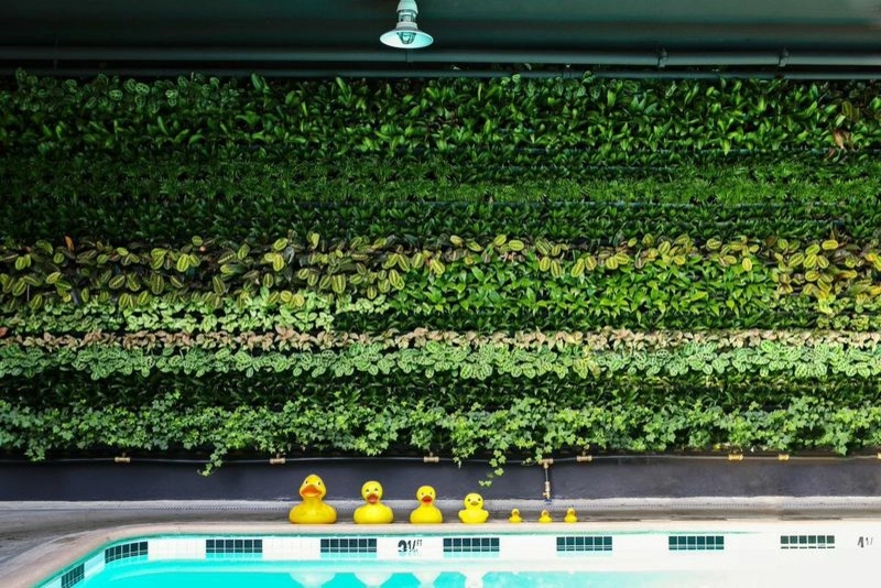 Green Walls by Seed Landcare - Photo 7