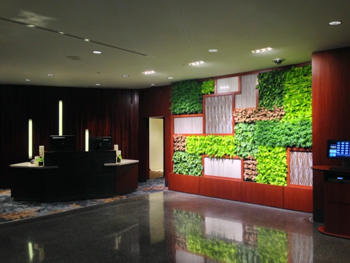 Green Walls by Seed Landcare - Photo 4