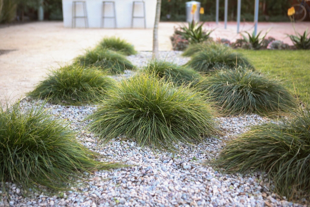 Seed Landcare - Photo 4