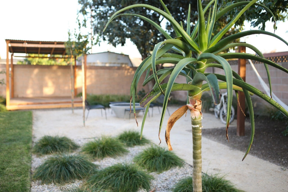 Orange by Seed Landcare - Photo 4