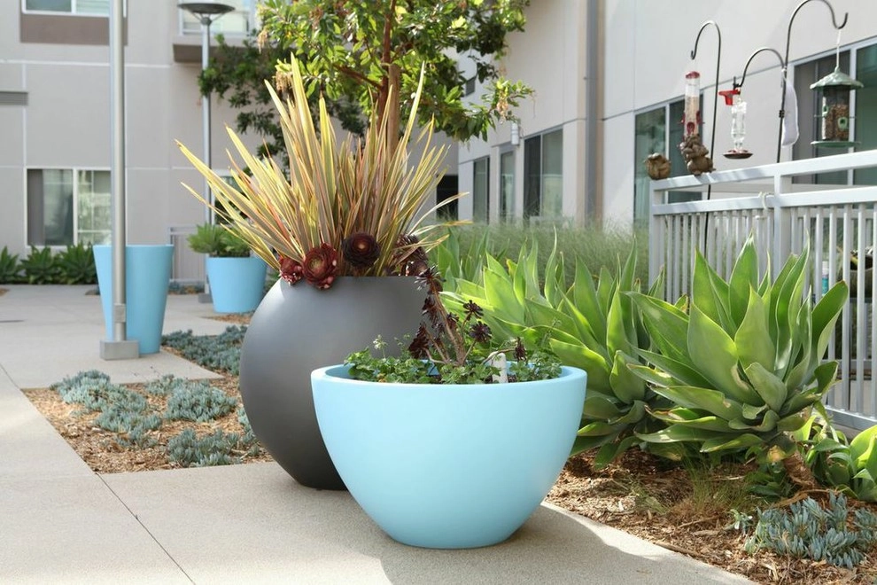 Costa Mesa Maintenance by Seed Landcare - Photo 2