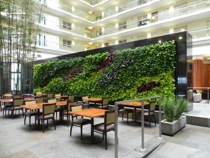 Green Walls by Seed Landcare - Photo 2