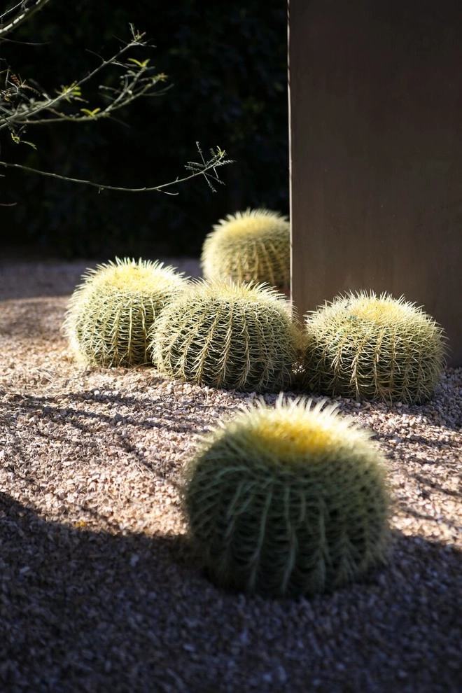 Hidden Trail by Seed Landcare - Photo 28