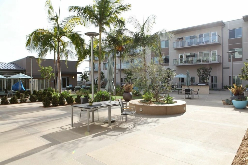 Costa Mesa Maintenance by Seed Landcare - Photo 7