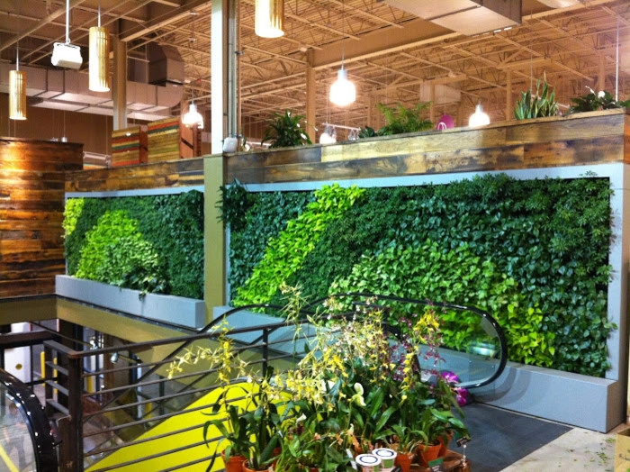 Green Walls by Seed Landcare - Photo 9