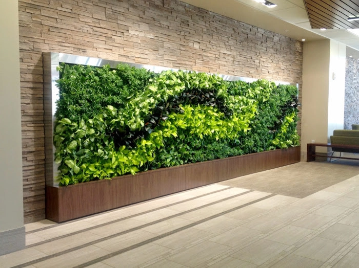Green Walls by Seed Landcare - Photo 5