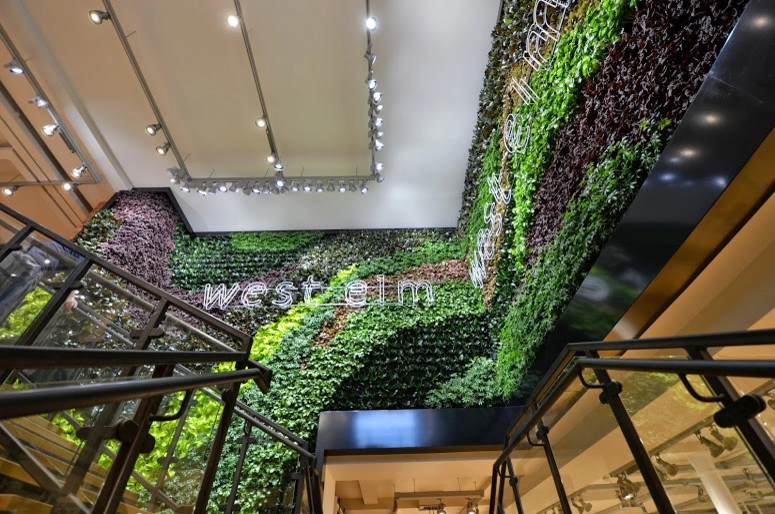 Green Walls by Seed Landcare - Photo 11