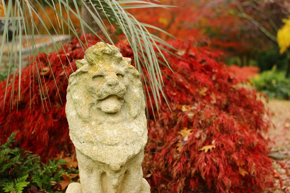 Fall Colors by Segale & Cerini Landscape Contractors - Photo 7