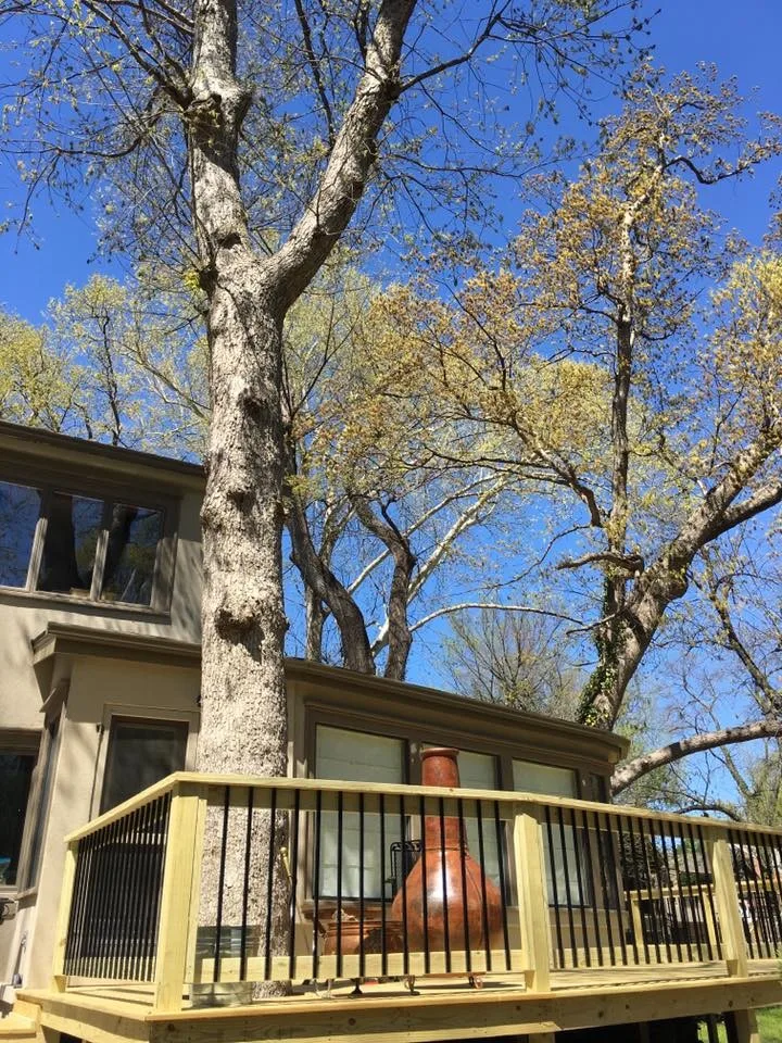 Midtown Tulsa Deck by Lazo Pro Patios & Decks - Photo 20