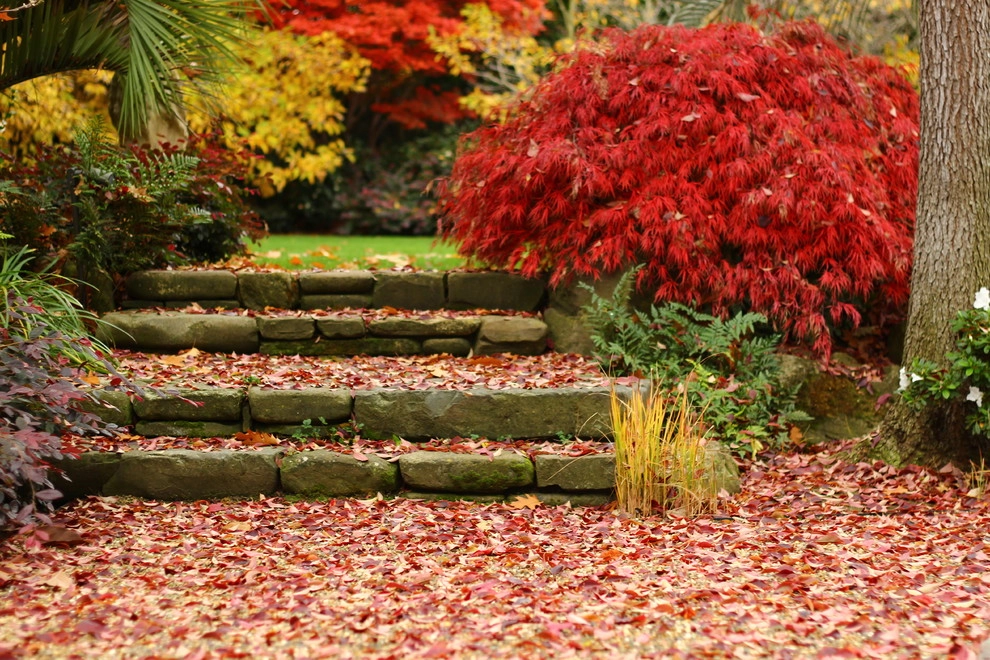 Segale & Cerini Landscape Contractors - Photo 13