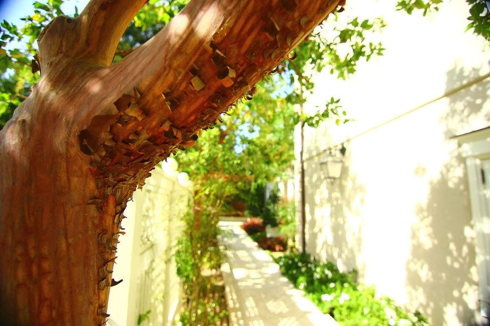 Our work by Segale & Cerini Landscape Contractors - Photo 8
