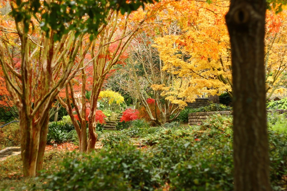Segale & Cerini Landscape Contractors - Photo 6