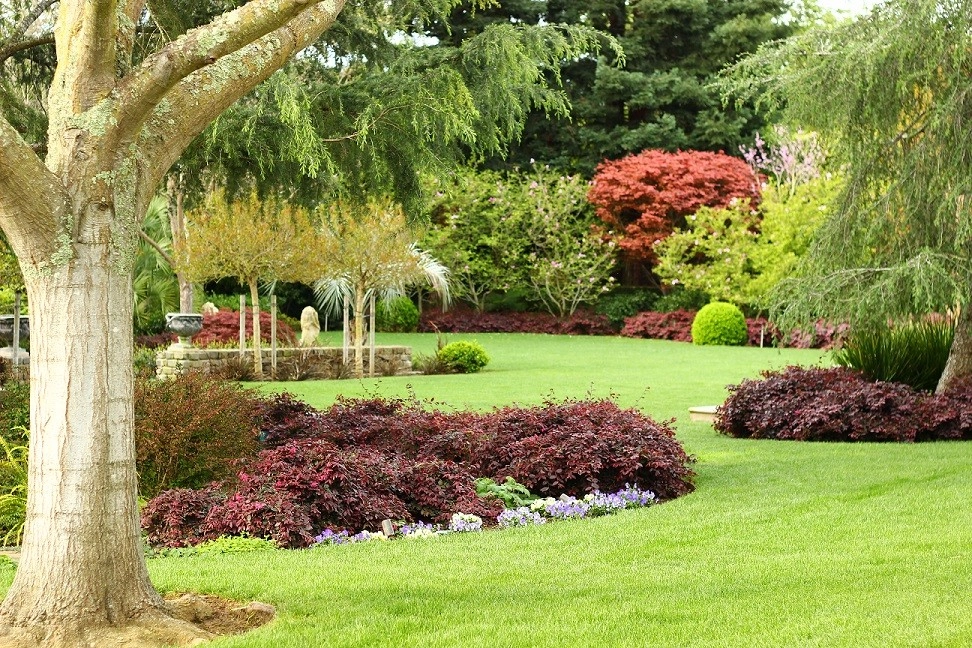 Our work by Segale & Cerini Landscape Contractors - Photo 14
