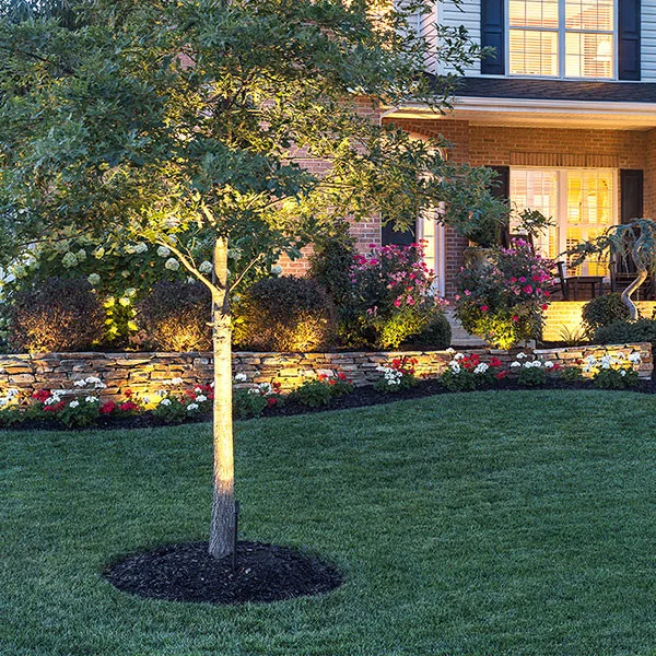 Deck Illumination by DecksDirect - Photo 2