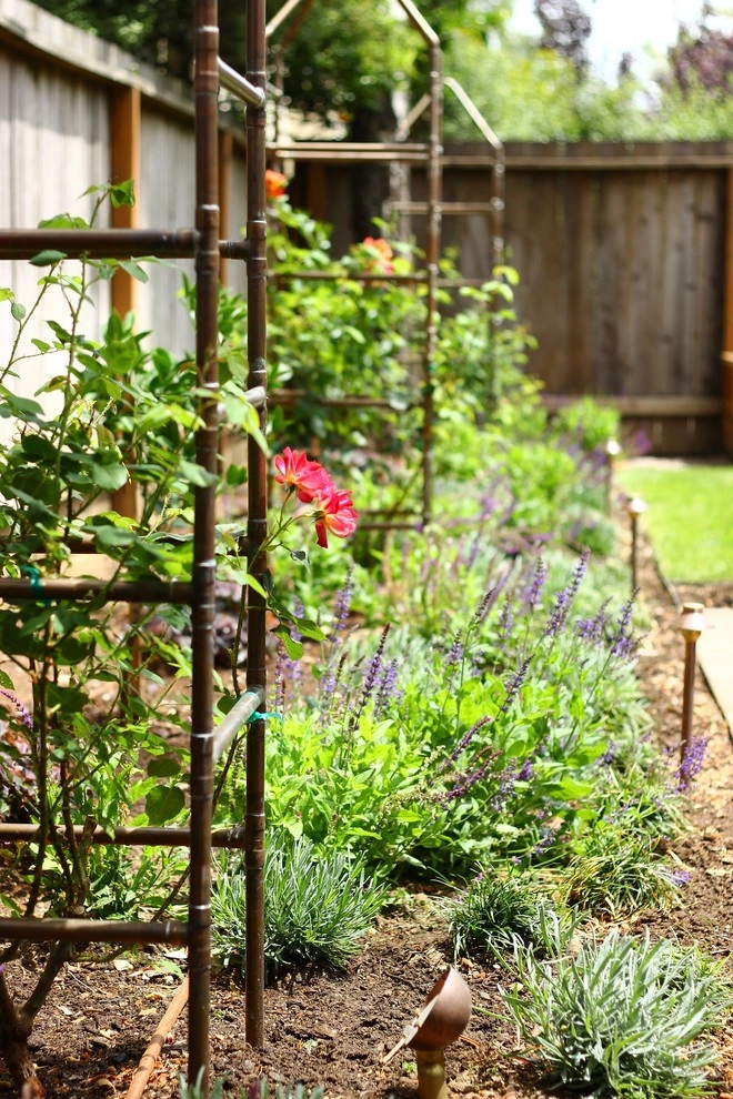 Plymouth Landscaping by Segale & Cerini Landscape Contractors - Photo 11