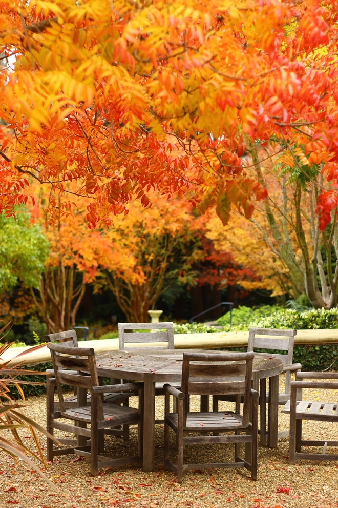 Fall Colors by Segale & Cerini Landscape Contractors - Photo 5