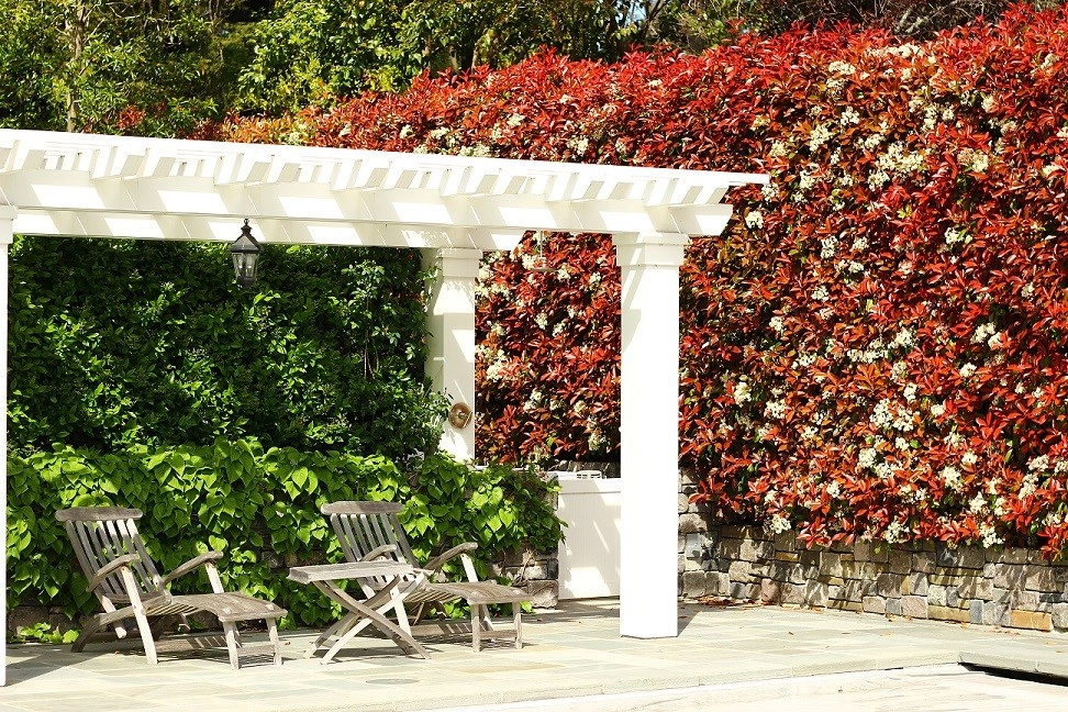 Segale & Cerini Landscape Contractors - Photo 9