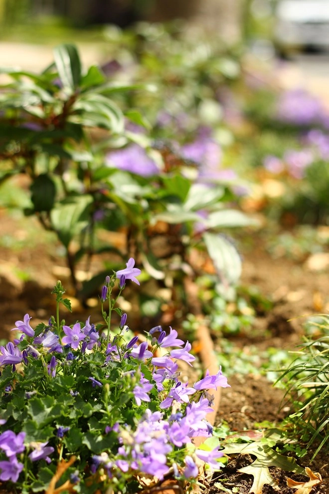 Plymouth Landscaping by Segale & Cerini Landscape Contractors - Photo 10