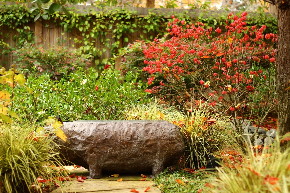 Fall Colors by Segale & Cerini Landscape Contractors - Photo 6