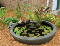 Shamrock Hardscapes And Restoration - Photo 9