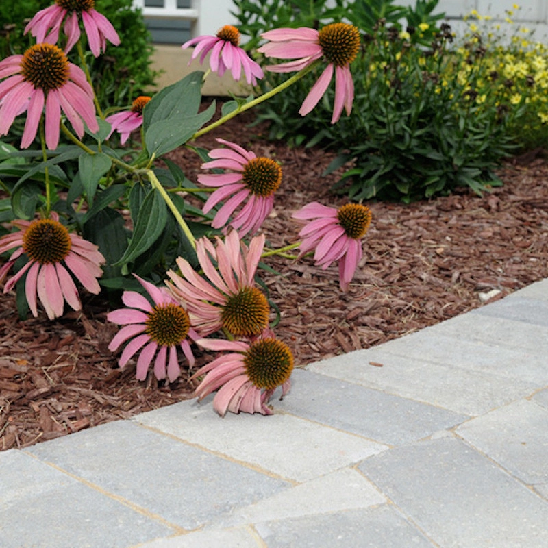 Landscape Construction / Maintenance by Shamrock Hardscapes And Restoration - Photo 4