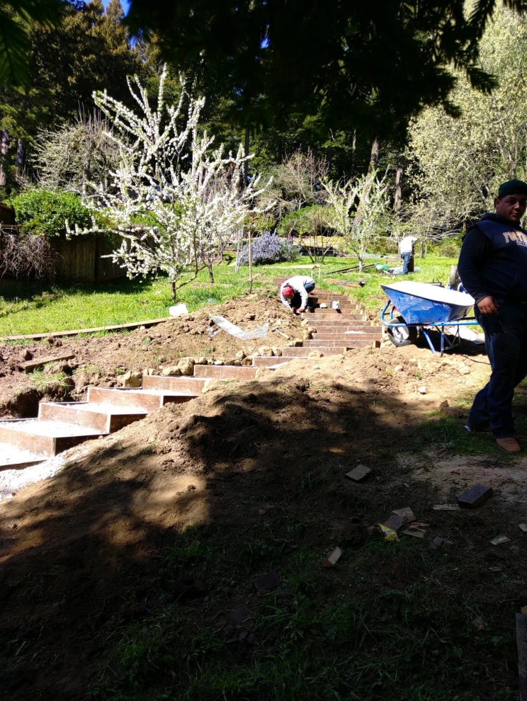 Shaping And Restoring Landscape - Photo 12