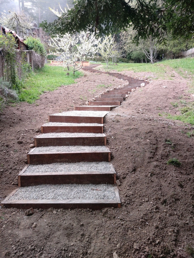 Shaping And Restoring Landscape - Photo 13