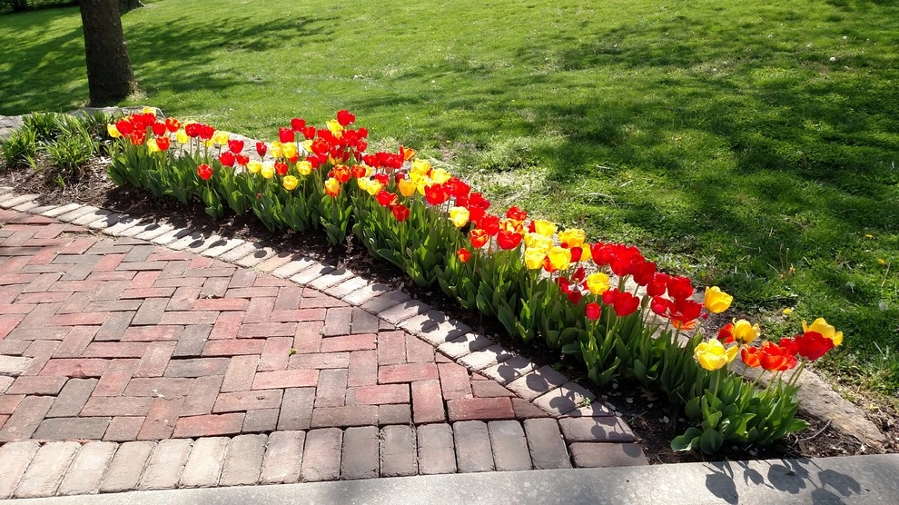 Landscapes by Sharp Landscaping Inc. - Photo 58