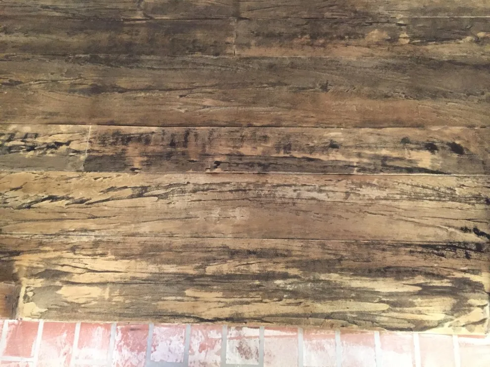 Timber and Concrete Stain by Ewing Pool & Spa - Photo 35